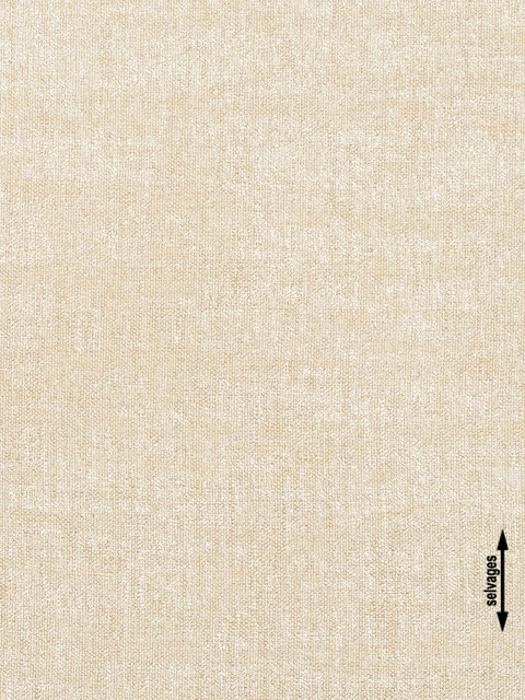 /filemanager/Agiovlasitis/koala (7).jpg